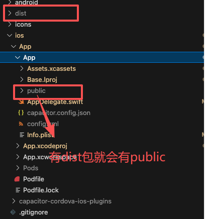有public